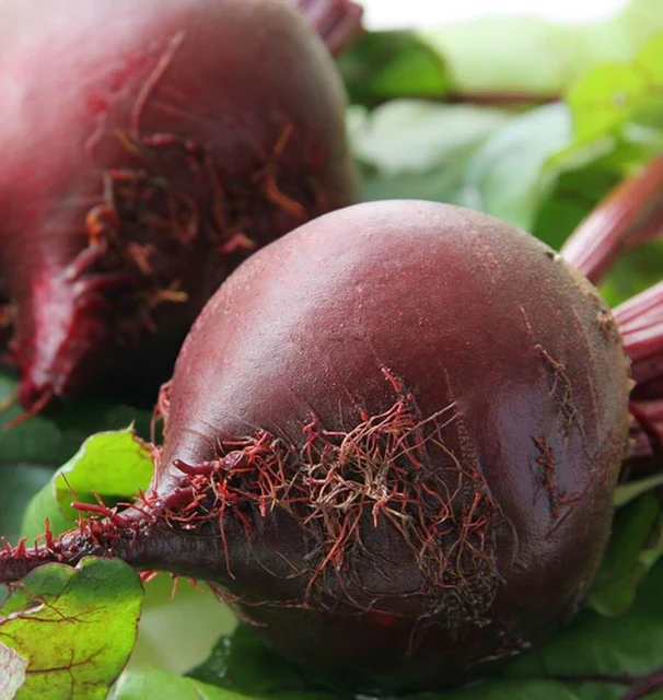 [BT166A] WCS Beets - Red Ace F1