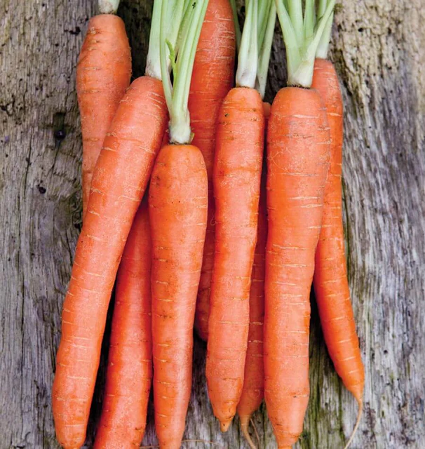 WCS Carrots - Nates Coreless
