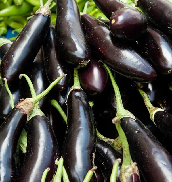 [EG419A] WCS Eggplants - Fingerline Long Purple