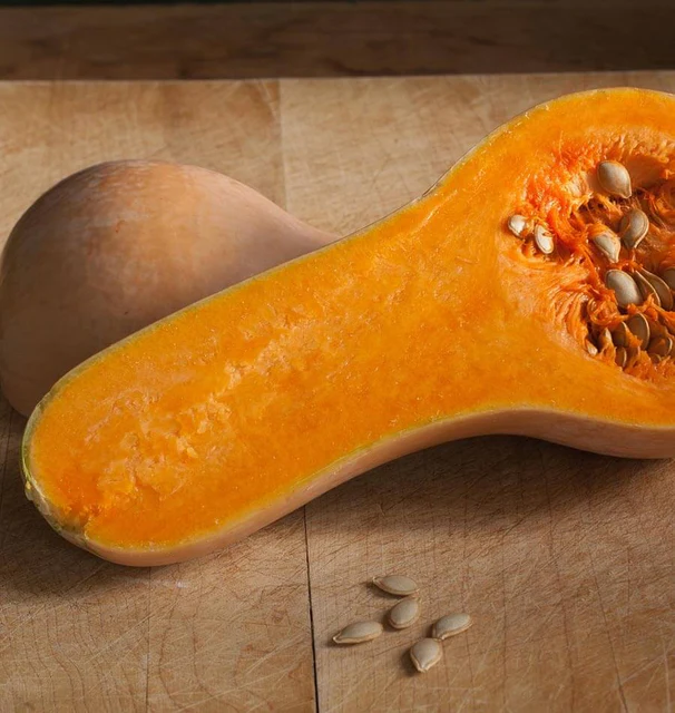 [SQ761A] WCS Squash (Winter) - Butternut Walthan Organic