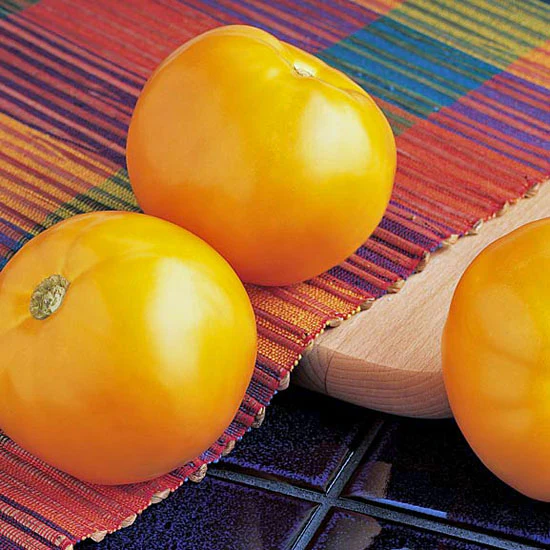 [TM775A] WCS Tomatoes (Slicer) - Carolina Gold