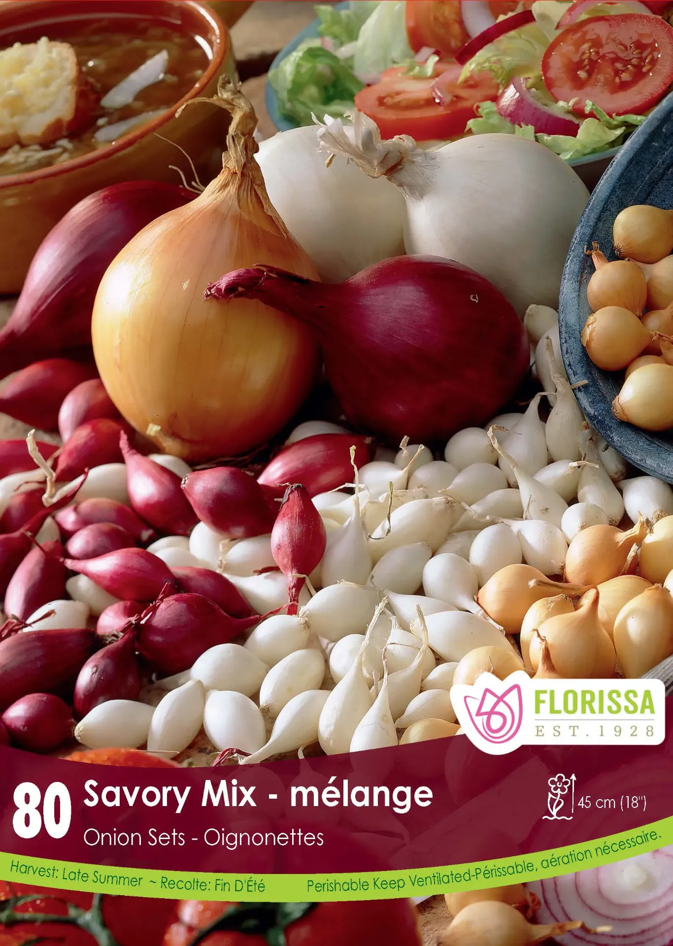 [340-225-01] Florissa - Onion Set (Savory Mix)