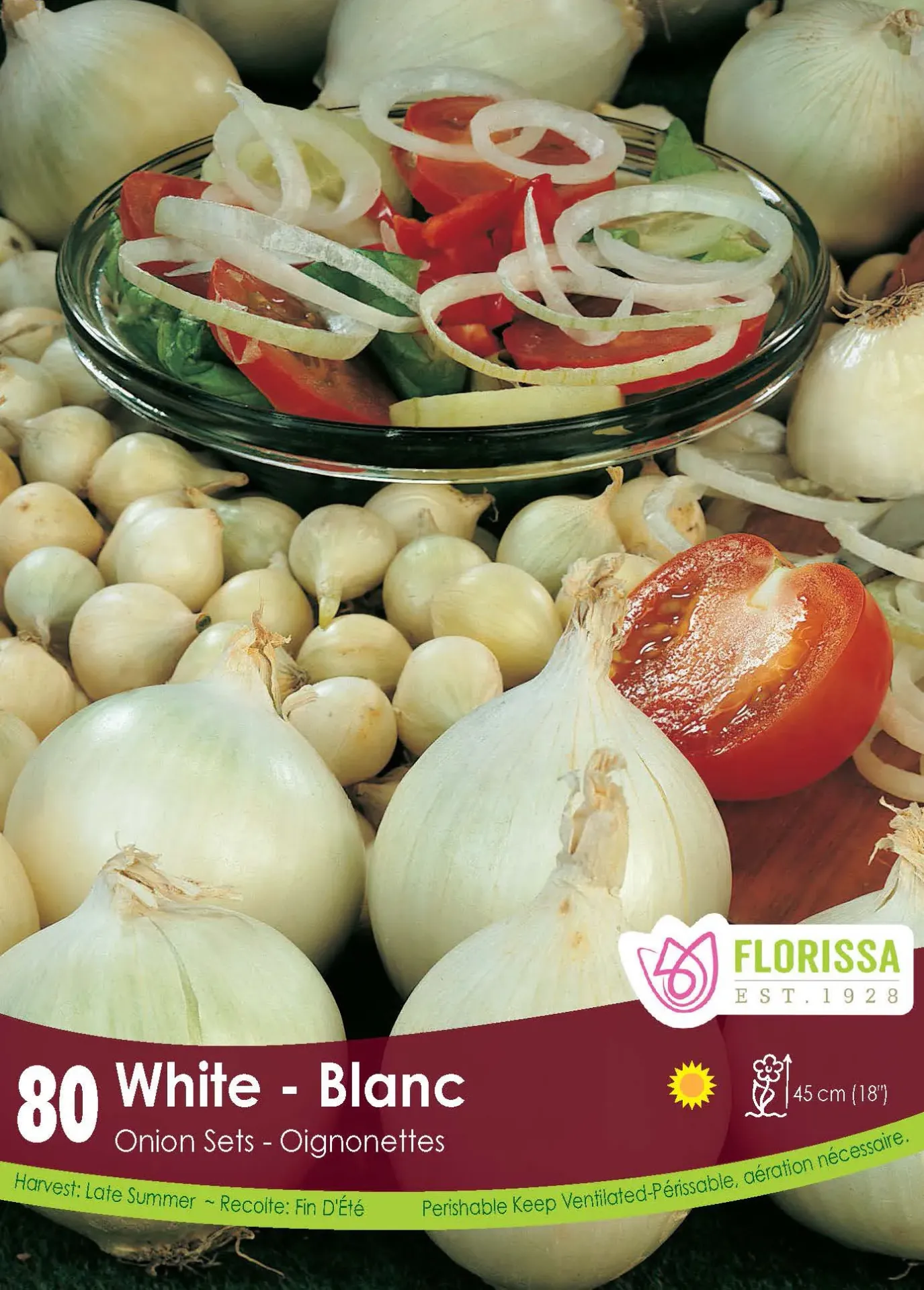 [340-280-01] Florissa - Onion Set (White)