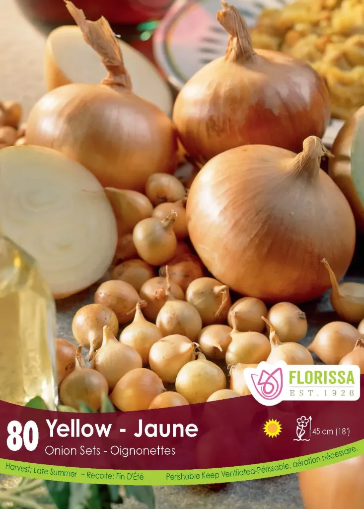 [340-220-01] Florissa - Onion Set (Yellow)