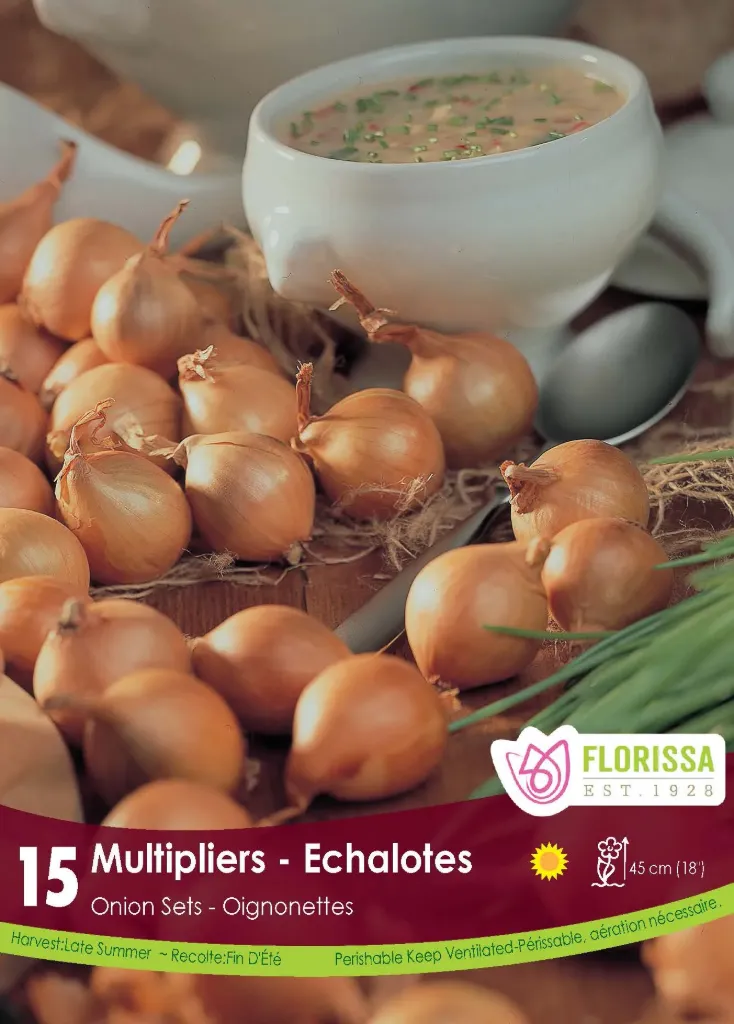 Florissa - Onion Set (Multiplier)