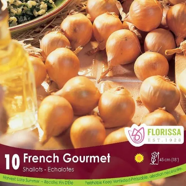 [340-320-01] Florissa - Onion (French Shallots)