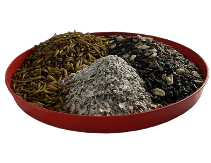 TBL - Plastic Chick Feeding Tray