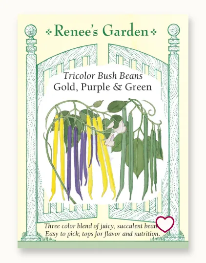 [RN5550] Renee's Garden- Beans (Bush) - Tricolour Bean Blend