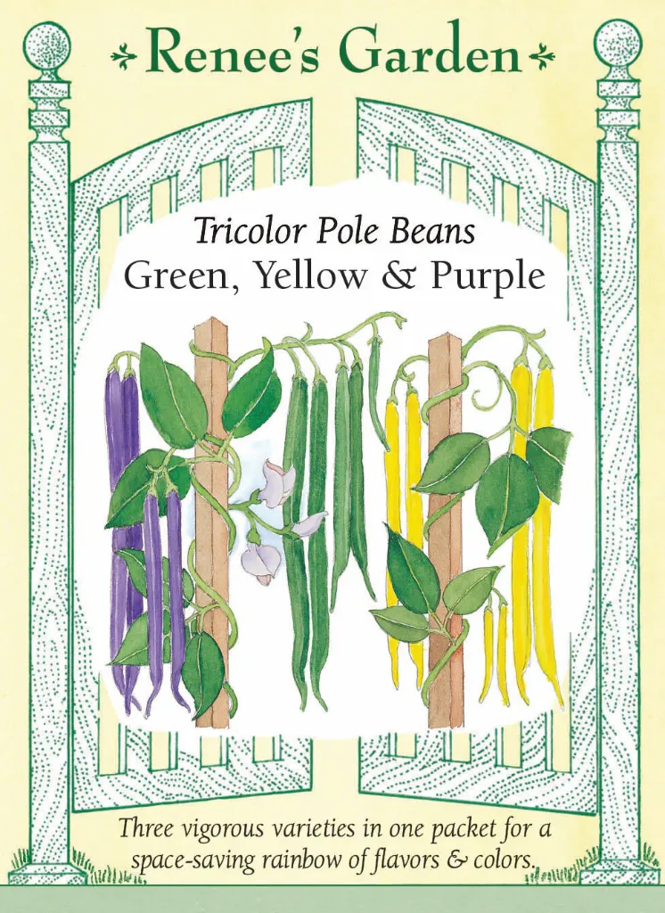 Renee's Garden - Beans (Pole) - Tricolor