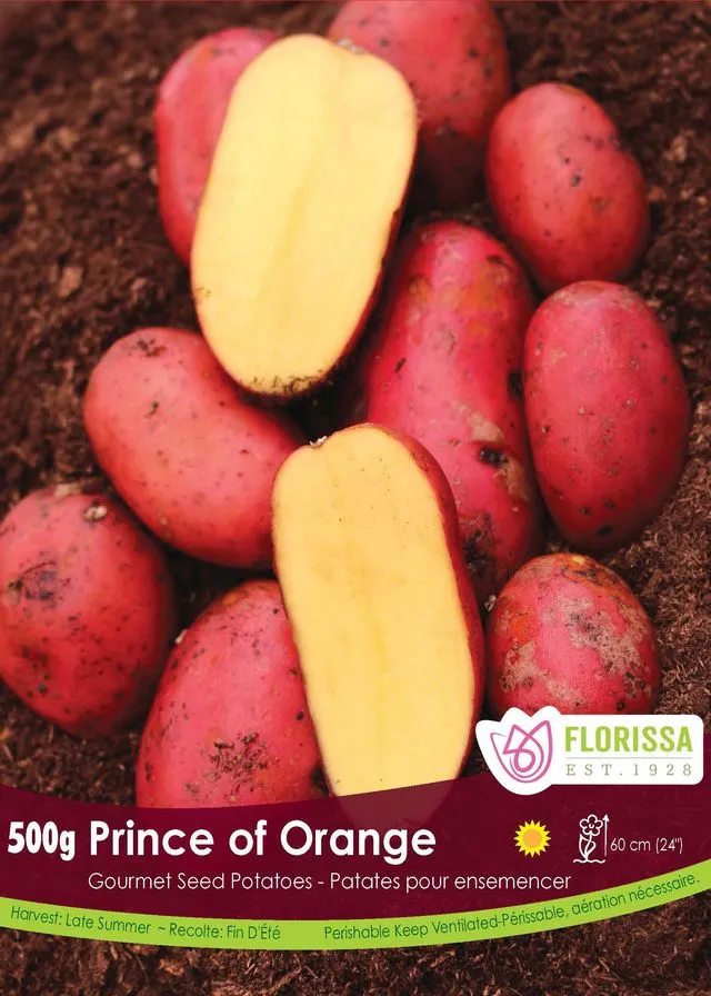 [340-538-01] Florissa - Potatoes Gourmet (Prince of Orange) 500g