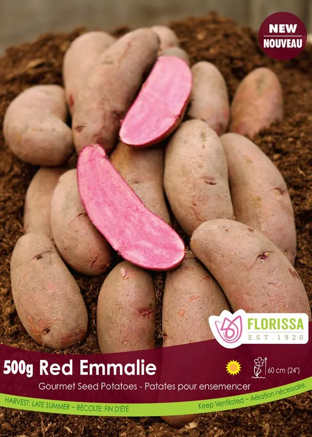 [340-536-01] Florissa - Potatoes Gourmet (Red Emmalie) 500g