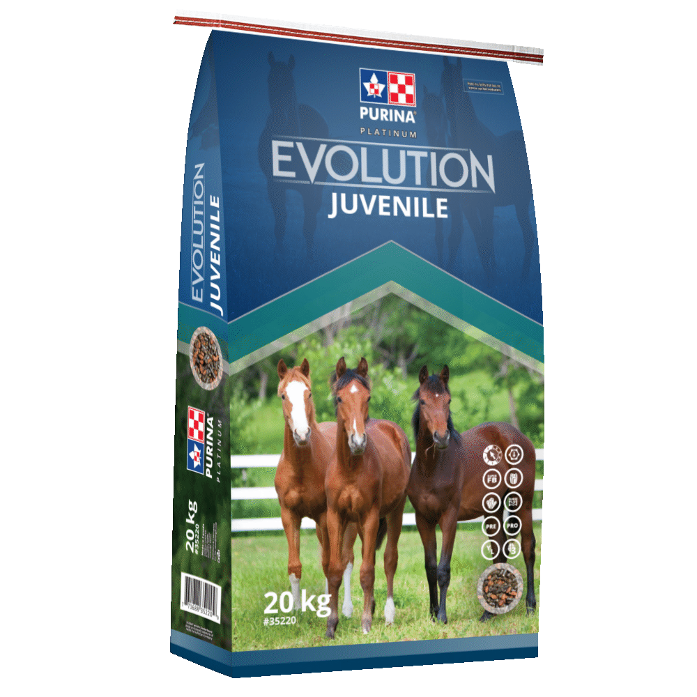 Purina Evolution Juvenile 20kg