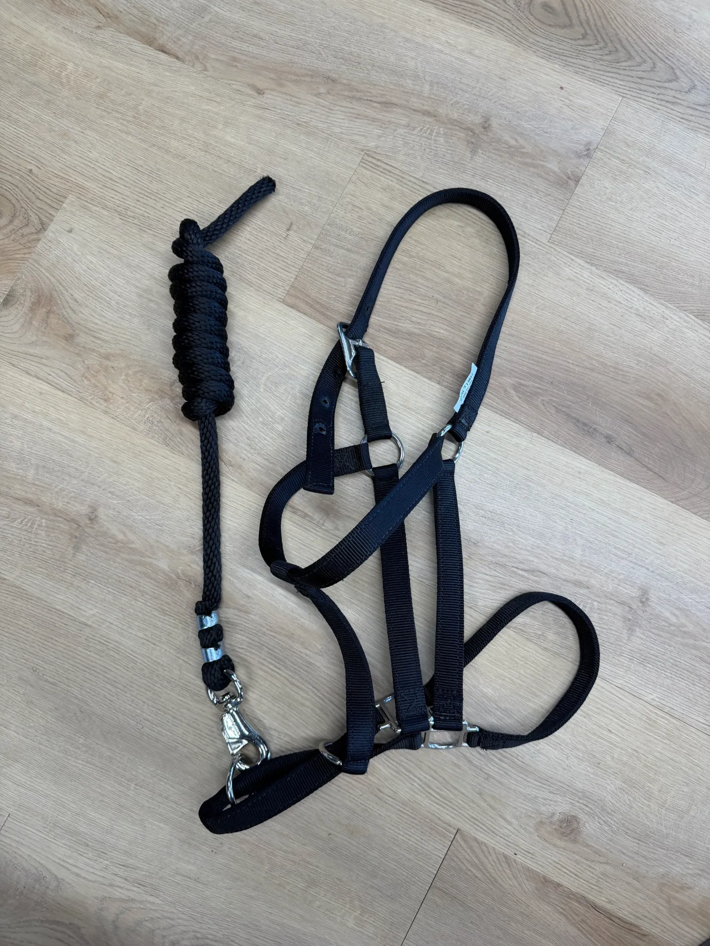 Consignment - Draft Horse Halter and 7' Lead (New)