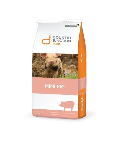 Country Junction - Mini Pig Maintenance Diet 20Kg