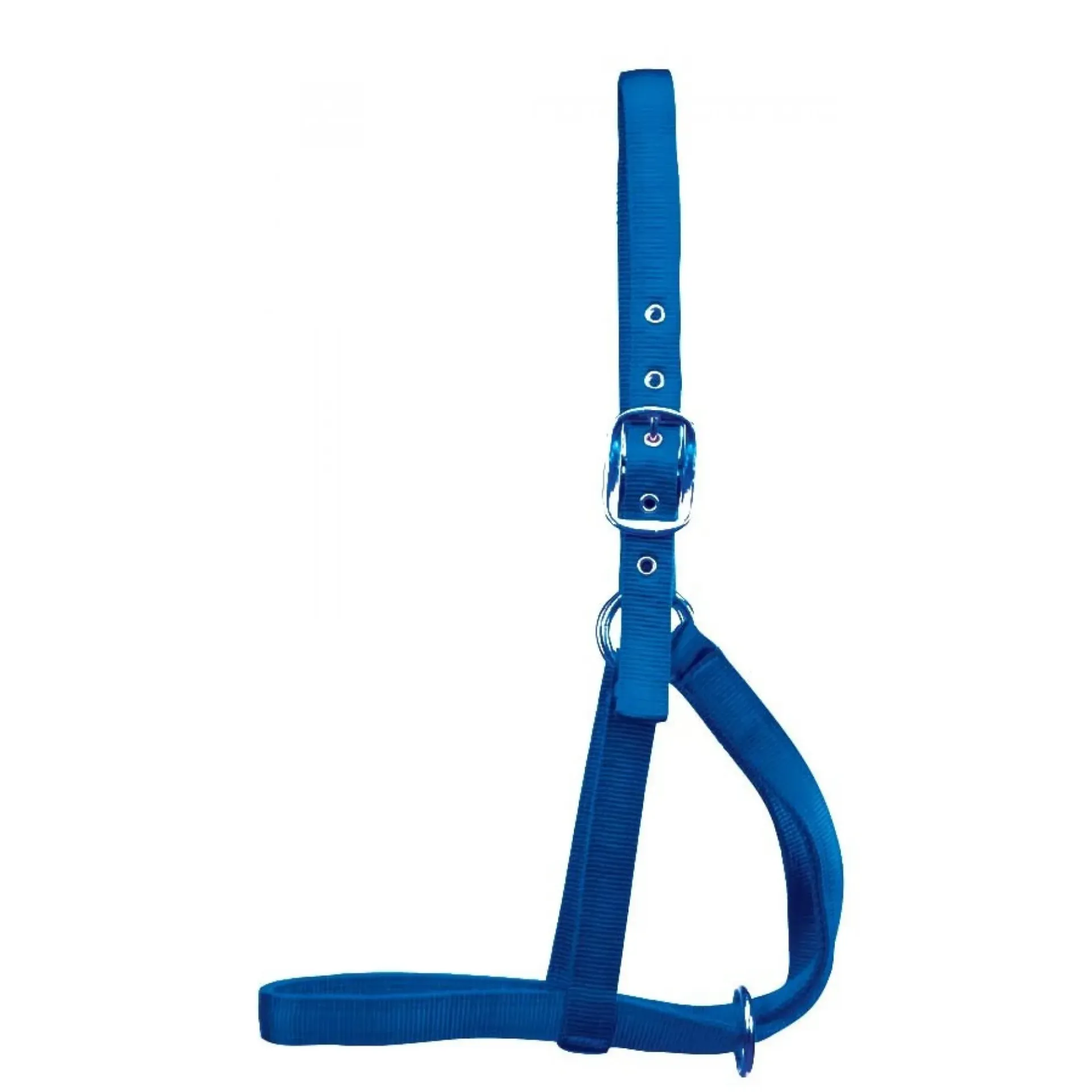 [722887-01] Western Rawhide - Beef/Dairy Halter (Cow, Red)