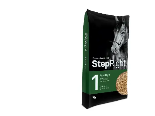 [17188795] StepRight 1 - Start Right (Broodmares and Growing Horses) 20kg