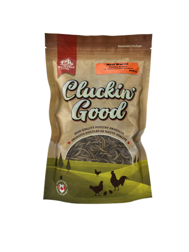 Cluckin' Good - Mealworms