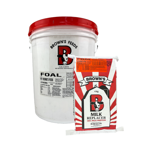 [B1610] Brown's Foal Milk Replacer 10kg (Pail)