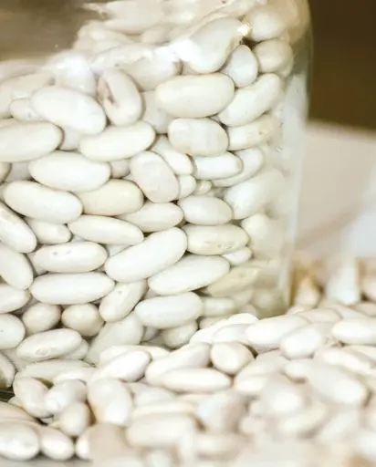 [BN173A] WCS Bean (Drying) - Cassoulet