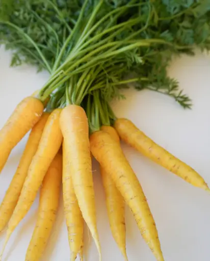 [CR306A] WCS Carrots - Gold Nugget F1 (yellow)