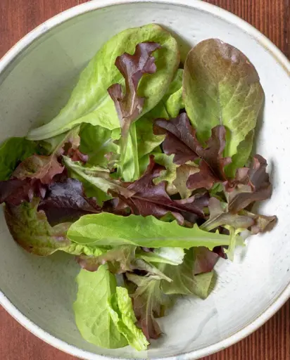 [LT525A] WCS Mescluns - Summer Picnic (Pelleted) 