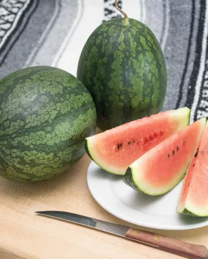 [ML509A] WCS Melon - Black Beauty Mini Watermelon