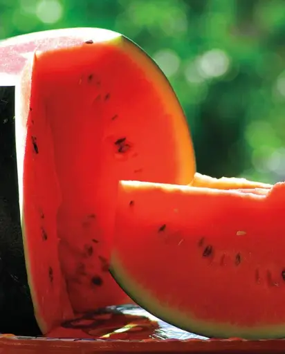 [ML865A] WCS Melon - Watermelon Sugar Baby Certified Organic