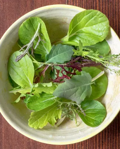 [MU510A] WCS Lettuce- Mescluns Wonder Wok (Pelleted) 