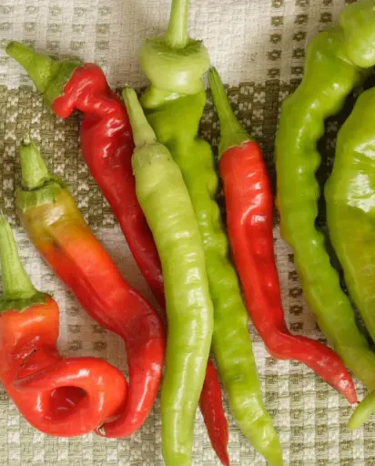 [PP629A] WCS Peppers - Pepperoncini