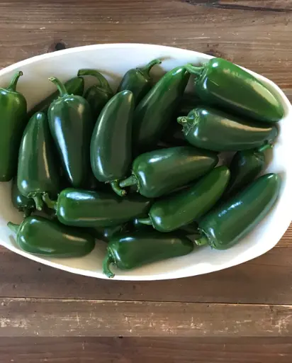 [PP655A] WCS Peppers - Black Magic Jalapeno F1 Certified Organic
