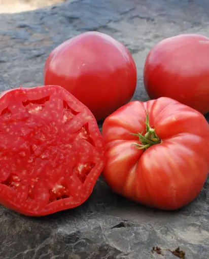 [TM852A] WCS Tomatoes - Mortgage Lifter Certified Organic