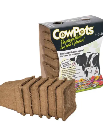 [HG800B] Cow Pots 4" (Pack of 6)