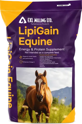 LipiGain Equine 18.2kg
